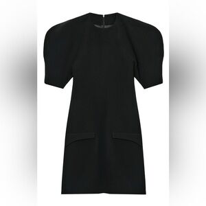 Zara Black Puff Sleeve Mini Dress